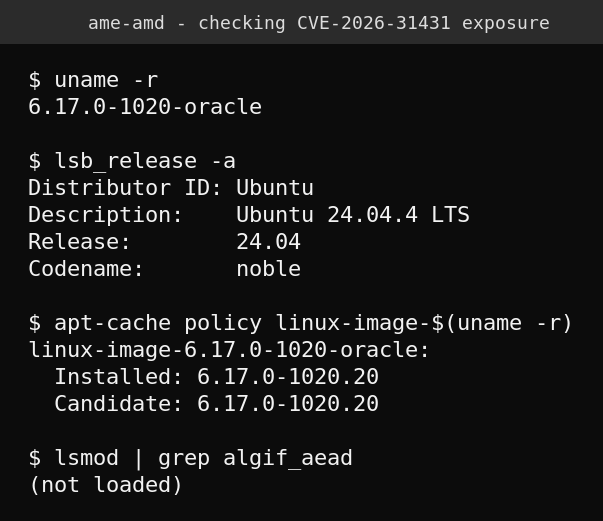 Real terminal output on ame-amd showing uname -r reporting kernel 6.17.0-1020-oracle, Ubuntu 24.04.4 LTS, apt-cache policy confirming the installed and candidate package version, and the algif_aead module not currently loaded