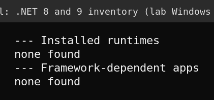 PowerShell inventory output on Windows Server 2025 reporting no runtimes and no framework-dependent apps