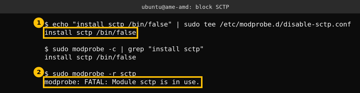 Terminal showing the install sctp rule written, modprobe configuration confirming it, and modprobe failing to unload because the module is in use