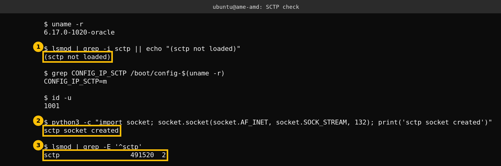 Terminal showing sctp not loaded, then an unprivileged user creating an SCTP socket, then the sctp module loaded