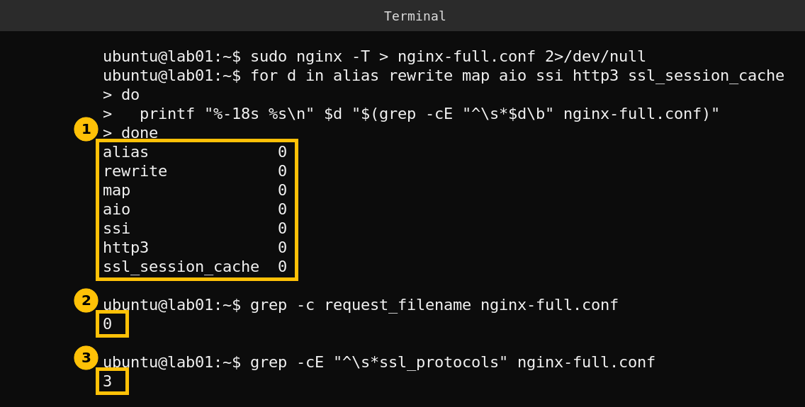 Terminal showing zero uses of alias, rewrite, map, aio, ssi, http3, ssl_session_cache and request_filename in the nginx configuration, and three ssl_protocols lines as a check