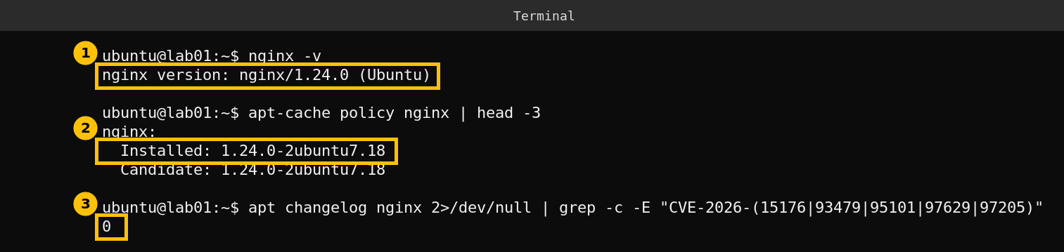 Terminal showing nginx 1.24.0, Ubuntu package 1.24.0-2ubuntu7.18 as both installed and candidate, and zero October CVEs in the changelog