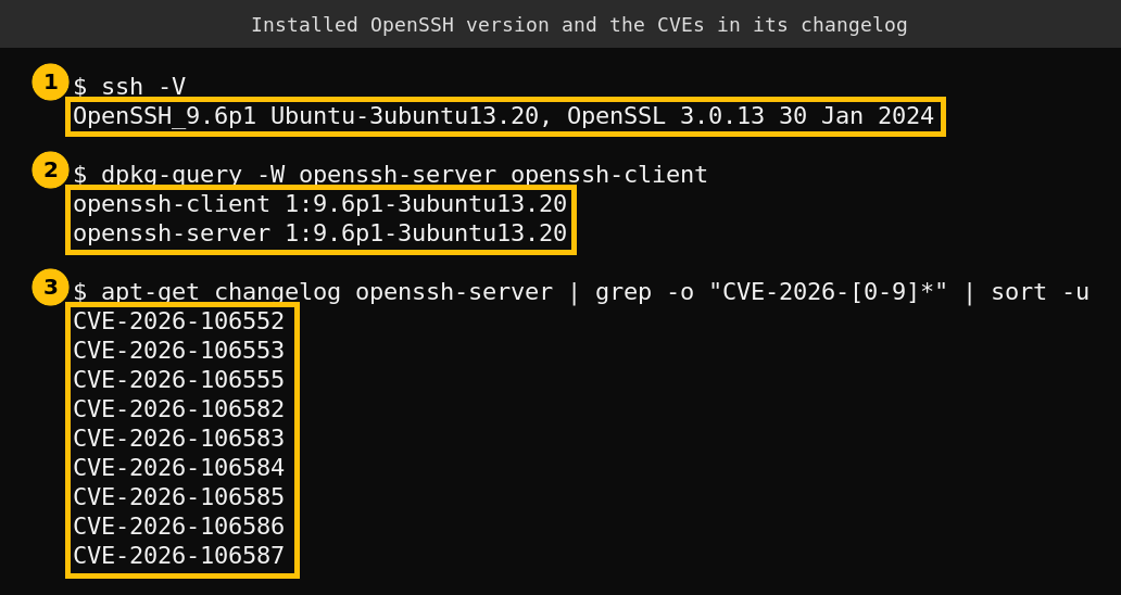 Terminal output showing OpenSSH 9.6p1 Ubuntu 13.20 installed and nine CVE-2026 identifiers in the changelog