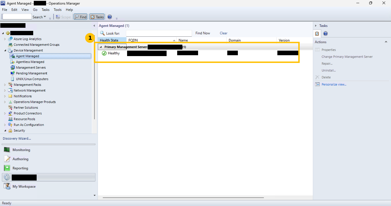 Real Agent Managed view under Device Management, showing one healthy agent under the primary management server, automatically approved