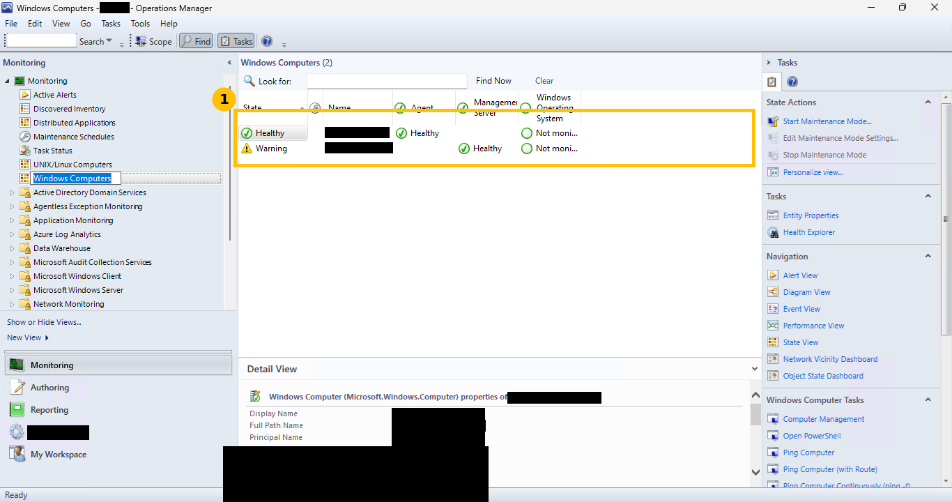 Real Monitoring, Windows Computers view, two servers listed with Healthy and Warning health states